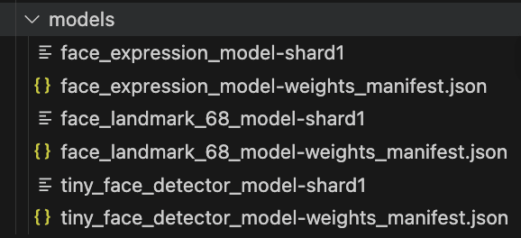 Face-api.js model files in the public directory
